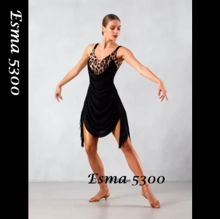 Esma 5300