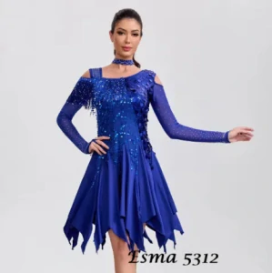 Esma 5312