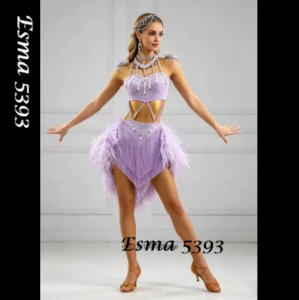 Esma 5393