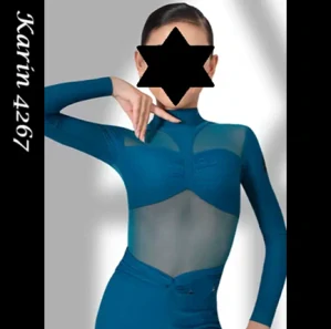 Karin 4267
