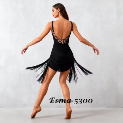 Esma 5300
